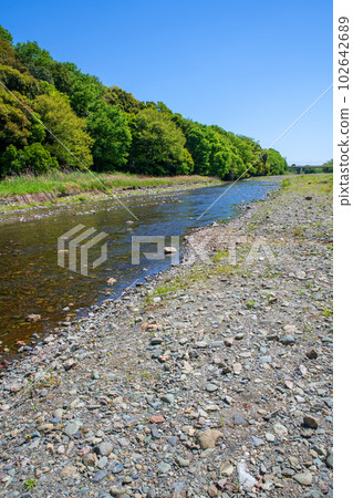 嵐山溪谷 從飛石橋往下看 清新的綠色風景 武藏的小京都 102642689