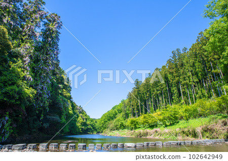 嵐山溪谷、踏腳石橋、月川、新綠風光、武藏的小京都 嵐山溪谷、踏腳石橋、月川、新綠風光、武藏的小京都 102642949