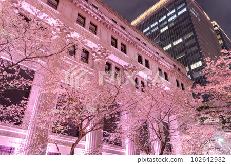 "Tokyo" Night cherry blossoms in full bloom in Nihonbashi, light up of cherry blossoms "Tokyo" Night cherry blossoms in full bloom in Nihonbashi, light up of cherry blossoms 102642982