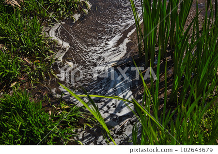 Manyo-no-Sato Ajimanoen with beautiful peonies Manyo-no-Sato Ajimanoen with beautiful peonies 102643679