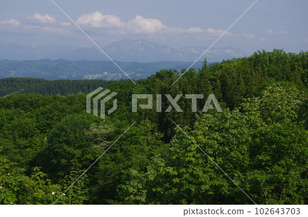 那!那座山是什麼 那!那座山是什麼 102643703
