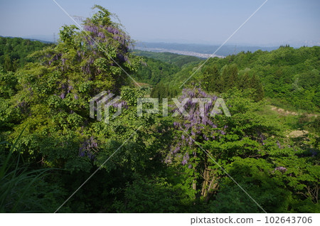 that! What is that mountain 102643706