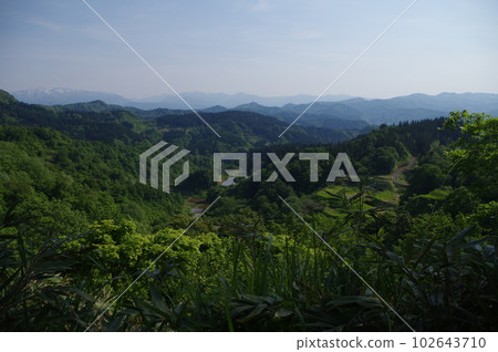 that! What is that mountain that! What is that mountain 102643710