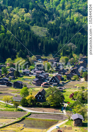 鳥瞰世界遺產白川鄉合掌造村落 102644304