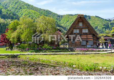 World Heritage Shirakawago Goseisaku Village World Heritage Shirakawago Goseisaku Village 102644309