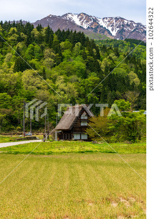 World Heritage Shirakawago Goseisaku Village 102644322