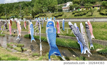 Carp streamers on the Aoki River (in front of Tokiwa Higashi Elementary School/Okazaki City, Aichi Prefecture) Carp streamers on the Aoki River (in front of Tokiwa Higashi Elementary School/Okazaki City, Aichi Prefecture) 102644363