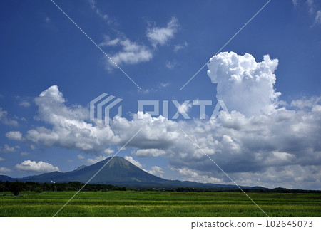 Summer mountain Summer mountain 102645073