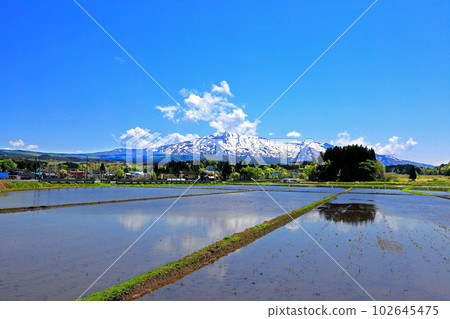 View from Chokai Green Line 102645475