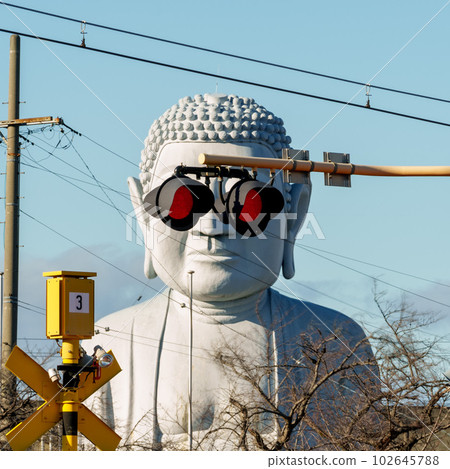 Sunglasses Daibutsu in Konan City, Aichi Prefecture 102645788