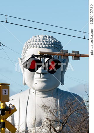 Sunglasses Daibutsu in Konan City, Aichi Prefecture Sunglasses Daibutsu in Konan City, Aichi Prefecture 102645789