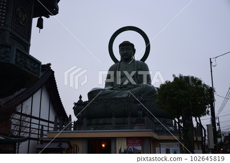 Takaoka Daibutsu 102645819