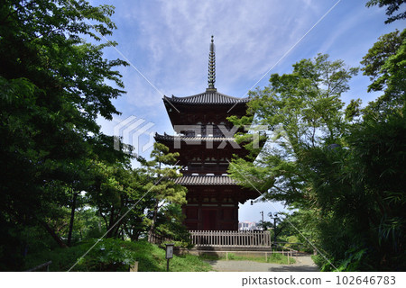 Sankeien in early summer "Three-storied pagoda" Sankeien in early summer "Three-storied pagoda" 102646783