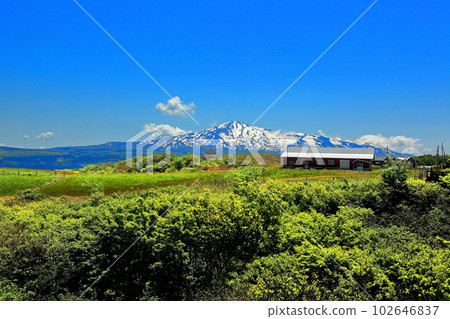 Fresh greenery, view of Mt. Chokai from Nikaho Kogen Fresh greenery, view of Mt. Chokai from Nikaho Kogen 102646837