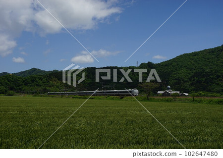 初夏以安土城考古博物館為背景奔跑的特快雷鳥（東海道本線安土～能登川，2023年5月） 102647480