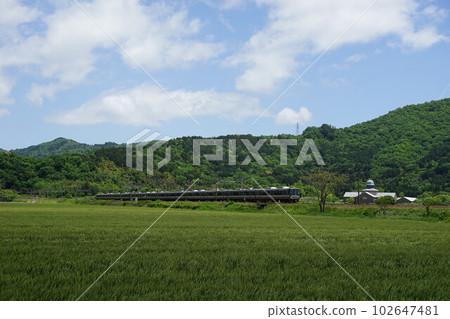 初夏以安土城考古博物館為背景的 223 系列普通列車（東海道本線安土 - 能登川，2023 年 5 月） 102647481