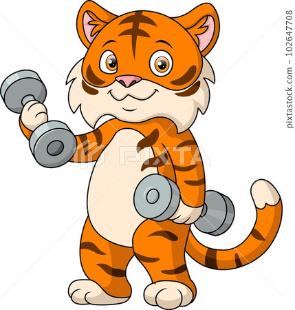 Cute tiger cartoon with dumbbells 102647708
