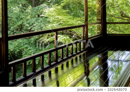 京都府京都市新鮮的綠楓和 Ruriko-in 寺景觀 102648070