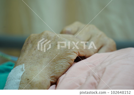 長照 長照 102648152