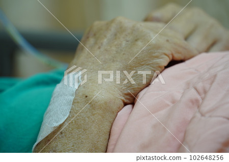 長照 長照 102648256