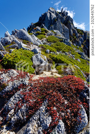 中央阿爾卑斯山 Utsukidake 山頂的岩石峰和黑豆樹的秋葉 102649762