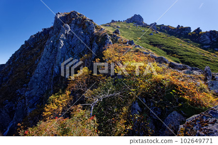 Central Alps and Mt. Central Alps and Mt. 102649771