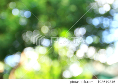 Green bokeh abstract background and texture Green bokeh abstract background and texture 102649836