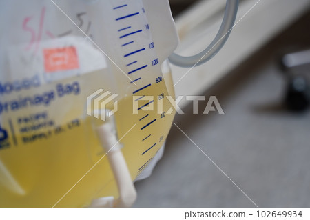 尿袋 尿袋 102649934