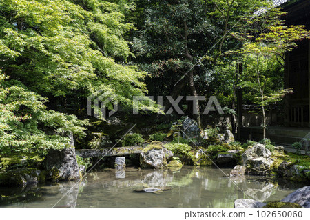 京都府京都市初夏蓮華寺綠楓園 京都府京都市初夏蓮華寺綠楓園 102650060