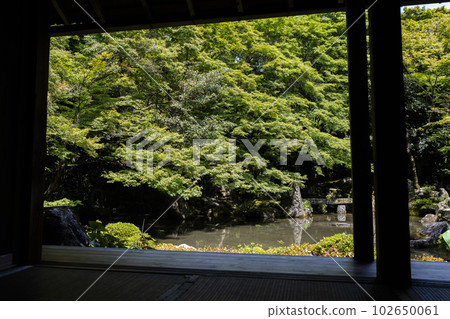 京都府京都市初夏蓮華寺綠楓園 京都府京都市初夏蓮華寺綠楓園 102650061