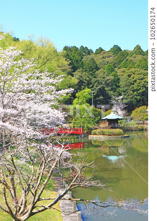 瀨戶市、常光寺公園和櫻花風光 102650174