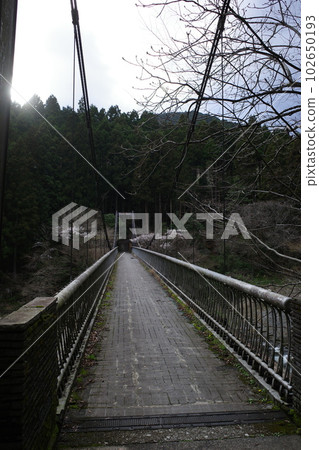 青梅市禦岳溪谷真嗣橋 102650193