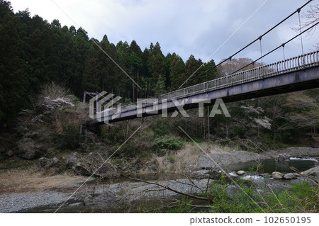 從青梅市禦岳溪谷看到的真嗣橋 102650195