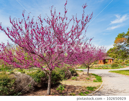 Sunny view of building in Tulsa Botanic Garden 102650929