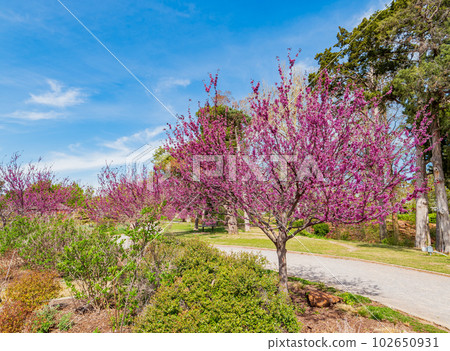 Sunny view of building in Tulsa Botanic Garden 102650931