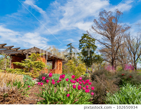 Sunny view of building in Tulsa Botanic Garden Sunny view of building in Tulsa Botanic Garden 102650934