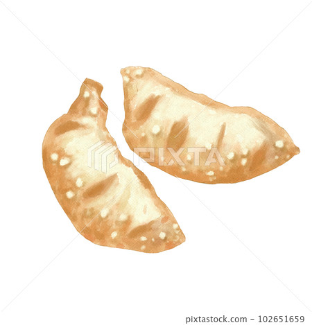 Fried dumplings (hand-painted) Fried dumplings (hand-painted) 102651659
