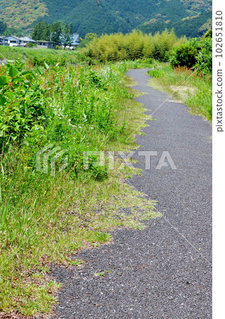 春野里山路 102651810