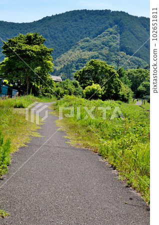Haruno Satoyama Road 102651811
