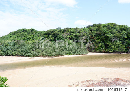 okinawa hirugi crowd okinawa hirugi crowd 102651847