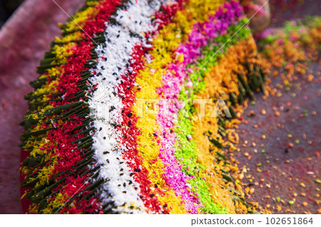 Decorated Bangladeshi Traditional garnish Colorful masala kasturi paan or betel leaf Decorated Bangladeshi Traditional garnish Colorful masala kasturi paan or betel leaf 102651864