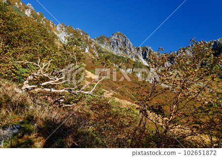 The rocky peaks of Mt. Hoken in the Central Alps seen from Senjojiki Cirque in autumn colors The rocky peaks of Mt. Hoken in the Central Alps seen from Senjojiki Cirque in autumn colors 102651872
