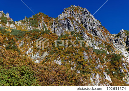 從千疊敷冰斗看到的中央阿爾卑斯法寶山的岩石山峰，呈現出秋色 102651874