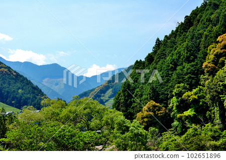 Shizuoka City Suburb Spring Satoyama Scenery Shizuoka City Suburb Spring Satoyama Scenery 102651896