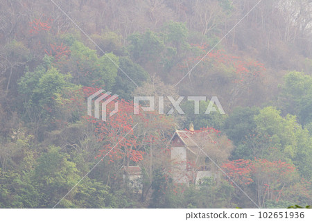 Breathtaking and impressive landscape in Luang Prabang, Laos. High-quality photo 102651936