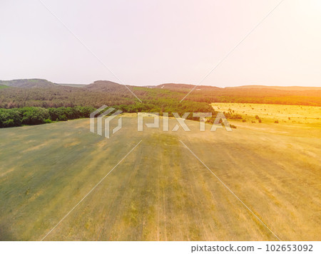 Aerial view on green wheat field in countryside. Field of wheat blowing in the wind like green sea. Young and green Spikelets. Ears of barley crop in nature. Agronomy, industry and food production. 102653092