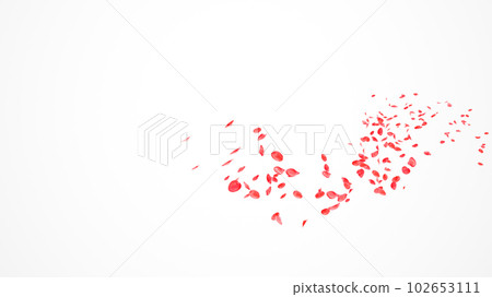 Red Roses Petals Flow in the wind Isolated on white background. Red Roses Petals Flow in the wind Isolated on white background. 102653111