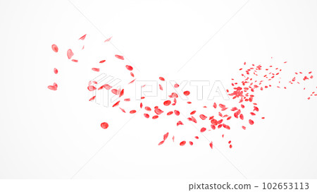 Red Roses Petals Flow in the wind Isolated on white background. Red Roses Petals Flow in the wind Isolated on white background. 102653113
