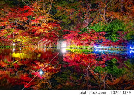 Hirosaki Castle moat Autumn foliage illuminated at night Hirosaki Castle moat Autumn foliage illuminated at night 102653329