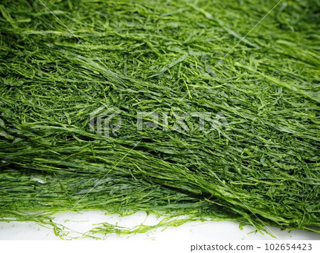 Striped green laver Striped green laver 102654423